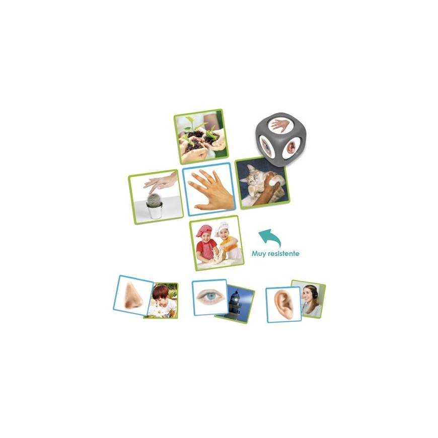 LOS 5 SENTIDOS SET DE ASOCIACION