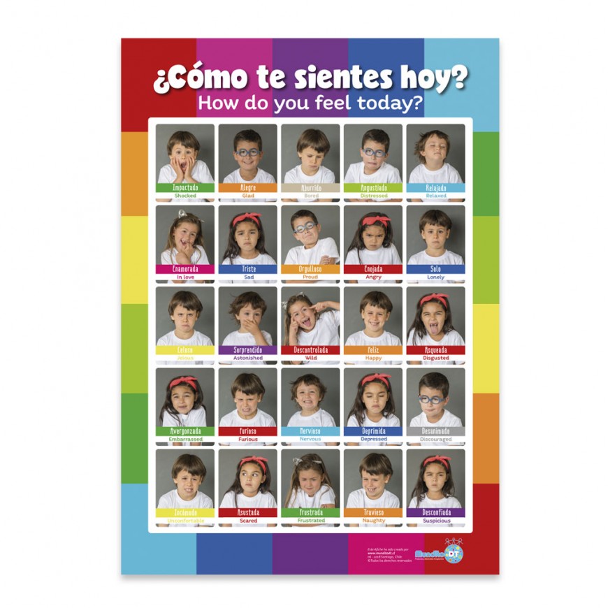 Afiche de Emociones Faces